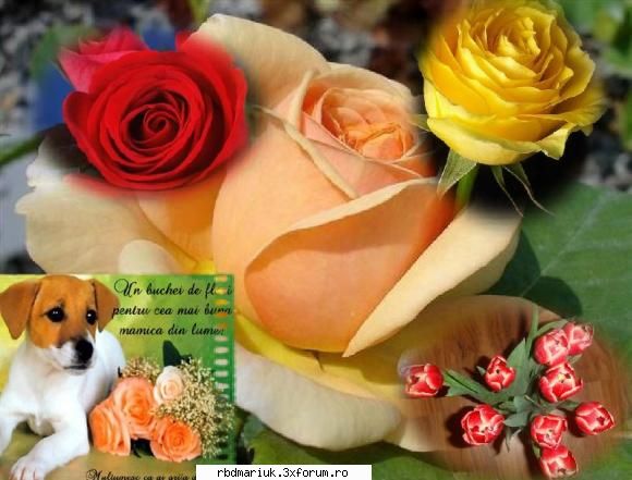 BaNnErE by ~~airam~~ - mariuk_airam_nice - Art zone