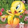 avatare - mariuk_airam_nice - Art zone