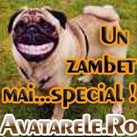 avatare - oops scz n'a mers astha: un zambeth - Art zone