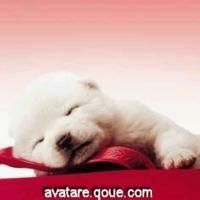 poze diverse - Hot&Cold - Poze