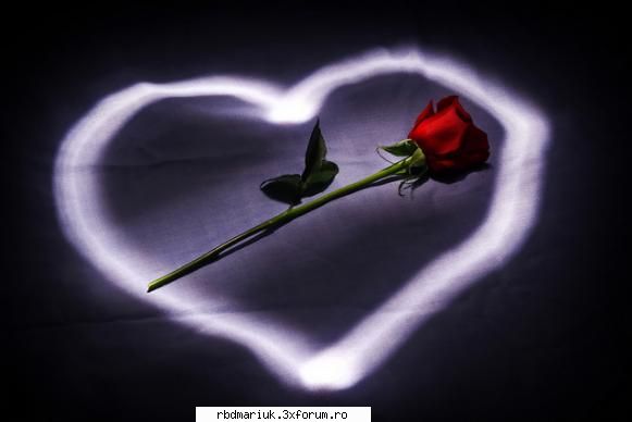 poze diverse - love..trandafir - Poze