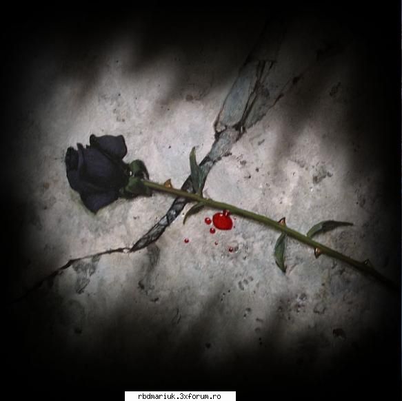poze diverse - mariuk_airam_nice - Poze
