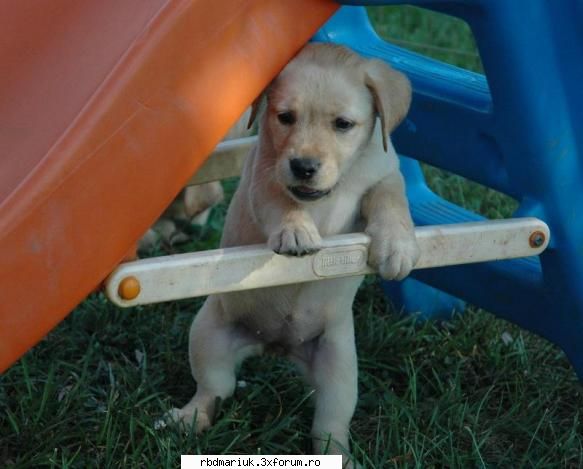 poze k animale:X:X:X - mariuk_airam_nice - Poze