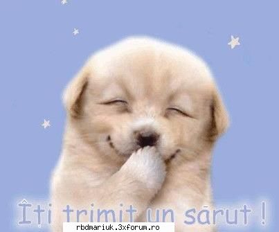 poze k animale:X:X:X - itzi trm un saruth..il acceptzy??te rog!!sunt - Poze