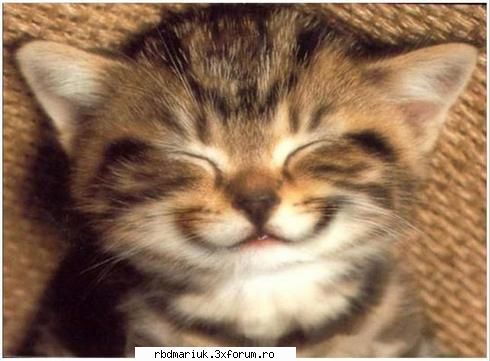 poze k animale:X:X:X - zambeshtee!!pissy t ubeshteee' - Poze