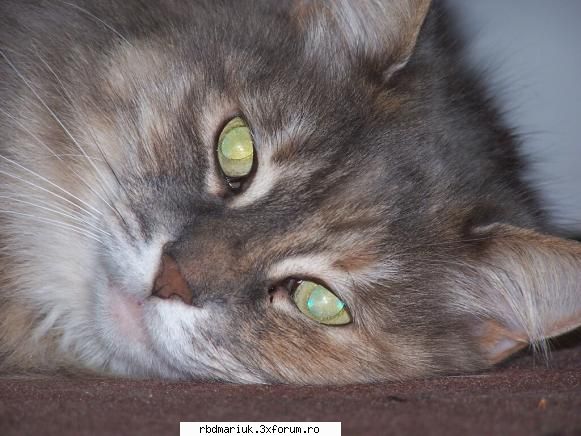 ochi d smarald poze k