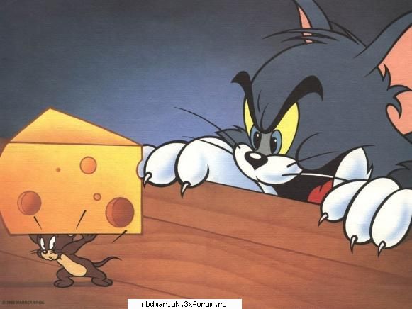 :dinti: tom & jerry